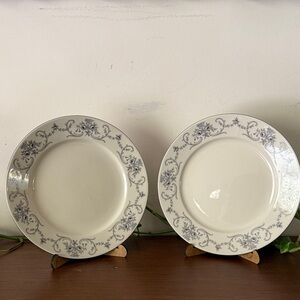 Vintage Johann Haviland Bavaria Rhineland dinner plates Set of 2